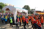 Kegiatan Program